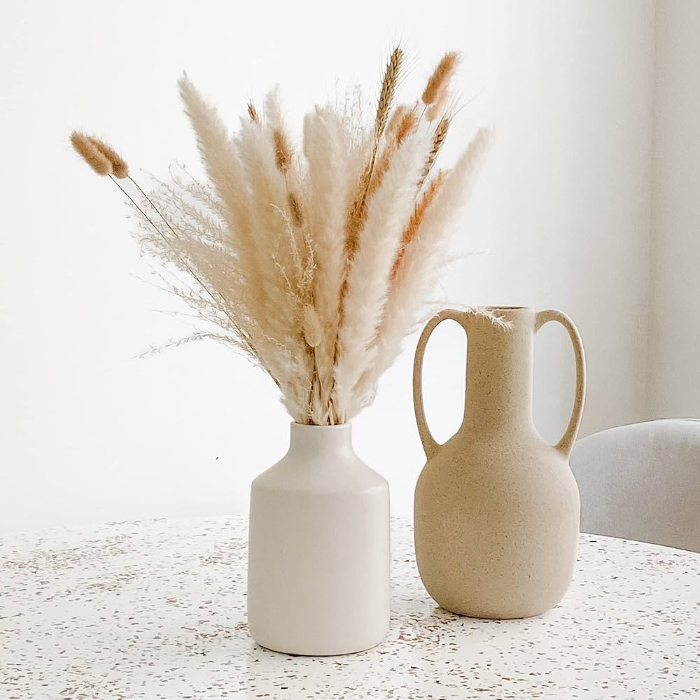 South Pillar - Dried White Pampas Grass Bouquet - 17.5 Inch - Wheat, Pampas Grass, Bunny Tail Gra... | Amazon (US)