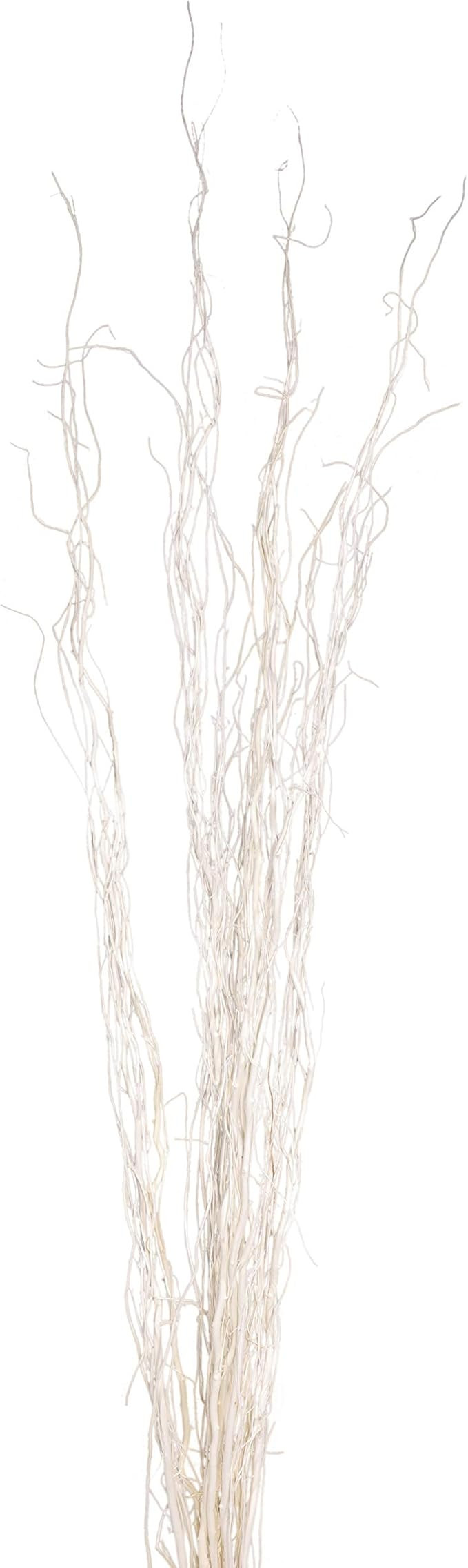 Green Floral Craft | 10 Stem Dried Curly Willow Branches 4-5 Feet Tall - Perfect Home Decoration ... | Amazon (US)