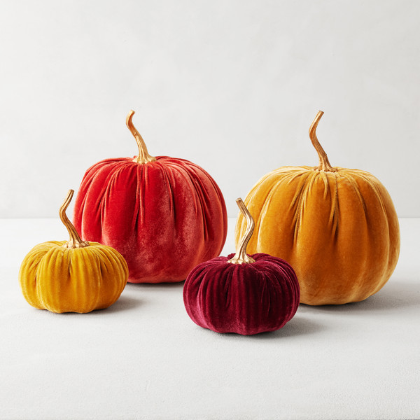 Velvet Pumpkin | Z Gallerie