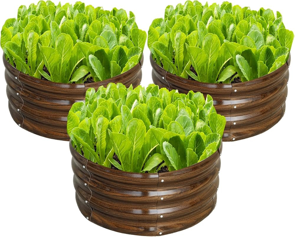 SnugNiture 3 Pcs 2x2x1ft Round Galvanized Raised Garden Bed Kit Outdoor, Metal Planter Box for Pl... | Amazon (US)