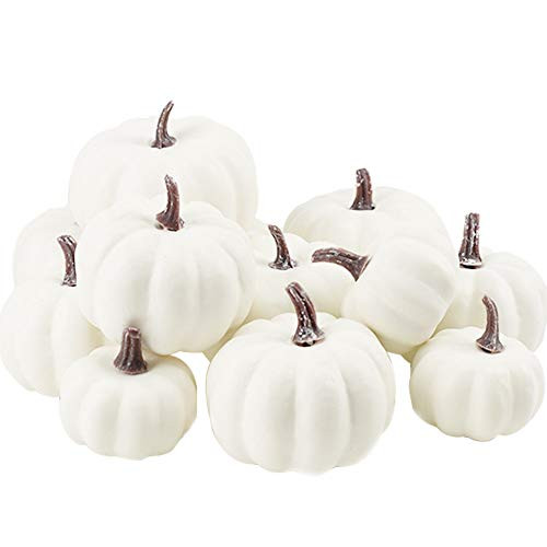 12 PCS Assorted Sizes Rustic Harvest White Artificial Pumpkins for Halloween, Fall Thanksgiving Deco | Amazon (US)