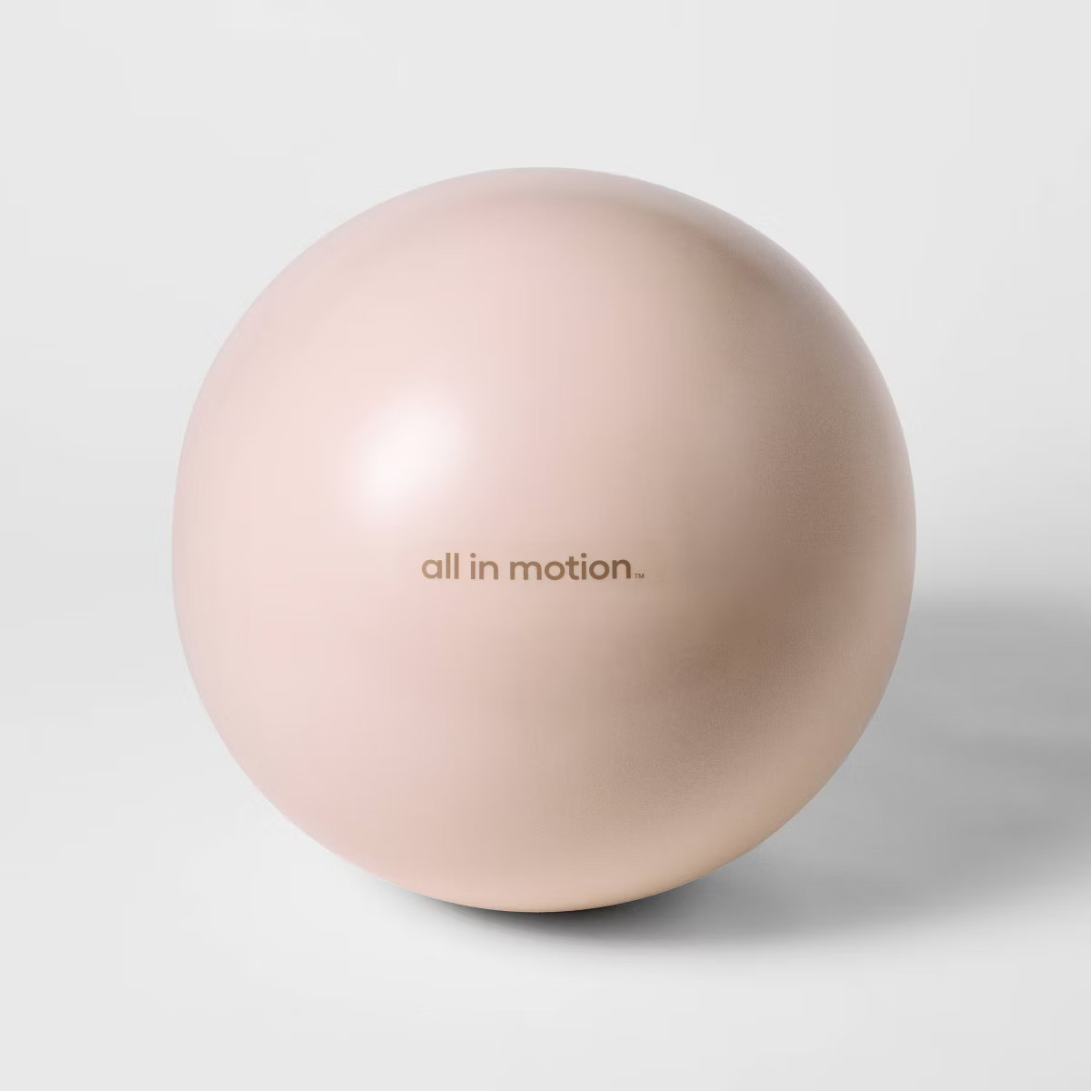 Weighted Stability Exercise Ball - All In Motion™ | Target
