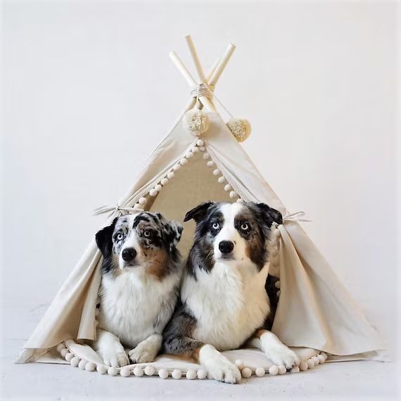 Large Dog Teepee Tent With Pom Poms Decor  Modern Pet | Etsy Australia | Etsy (AU)