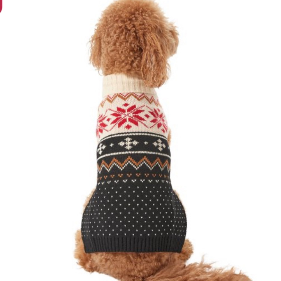 Cutest dog sweater!! 
Fits true to size. 

Holiday photo 
Dog sweater 
Fast ship
Pet finds

#LTKstyletip #LTKfamily #LTKGiftGuide