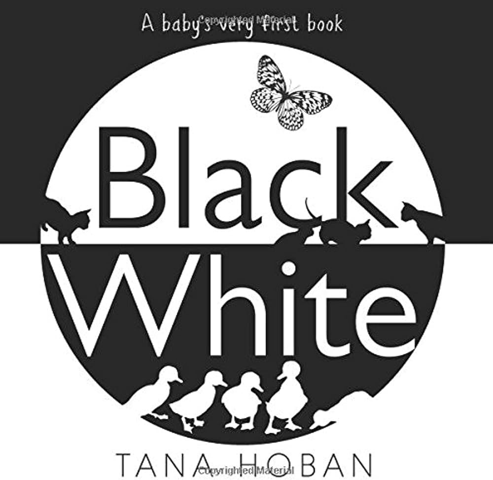 Black White: A High Contrast Book For Newborns | Amazon (US)
