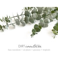 Large Gray Eucalyptus, Faux, Eucalyptus Spray, Leaves, Silver Dollar | Etsy (US)