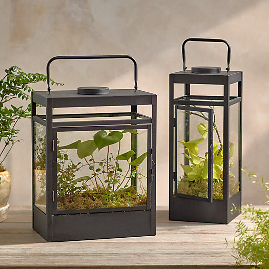 LED Iron Lantern | Terrain