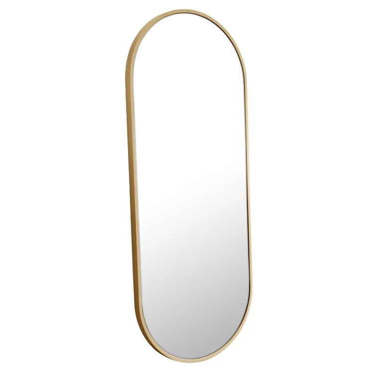 Pill Shape Modern & Contemporary Mirror | Wayfair North America