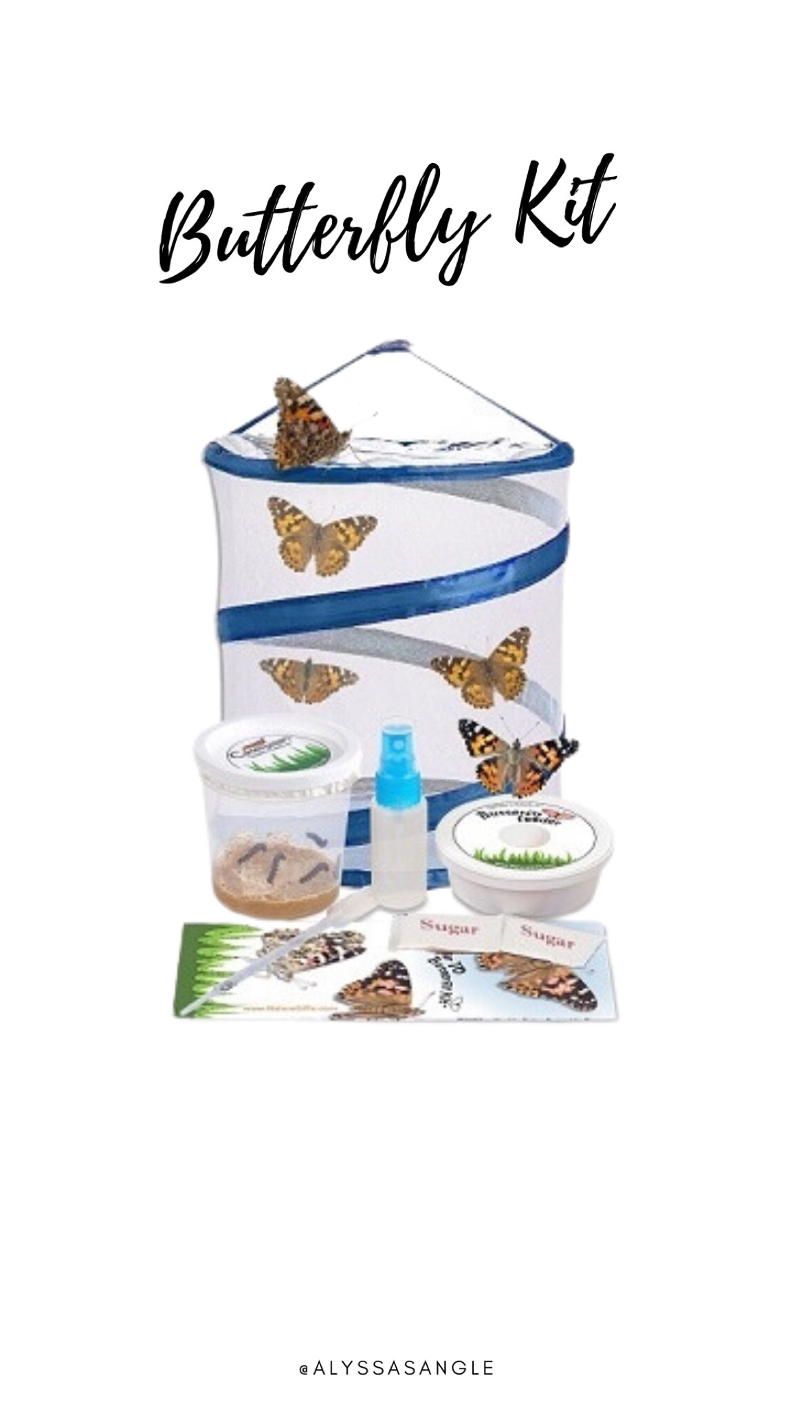Fun butterfly kit for kids! 

#LTKkids #LTKSeasonal #LTKGiftGuide