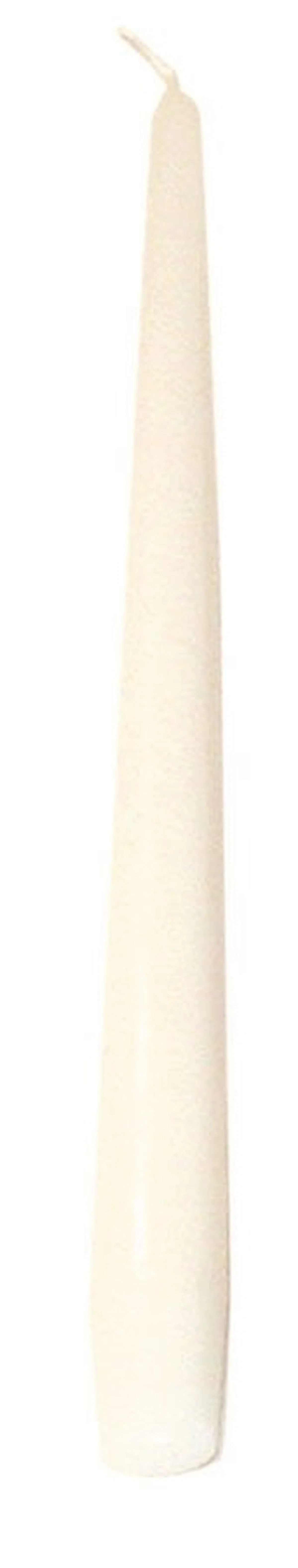 Unscented Taper Candle (Set of 12) | Wayfair North America