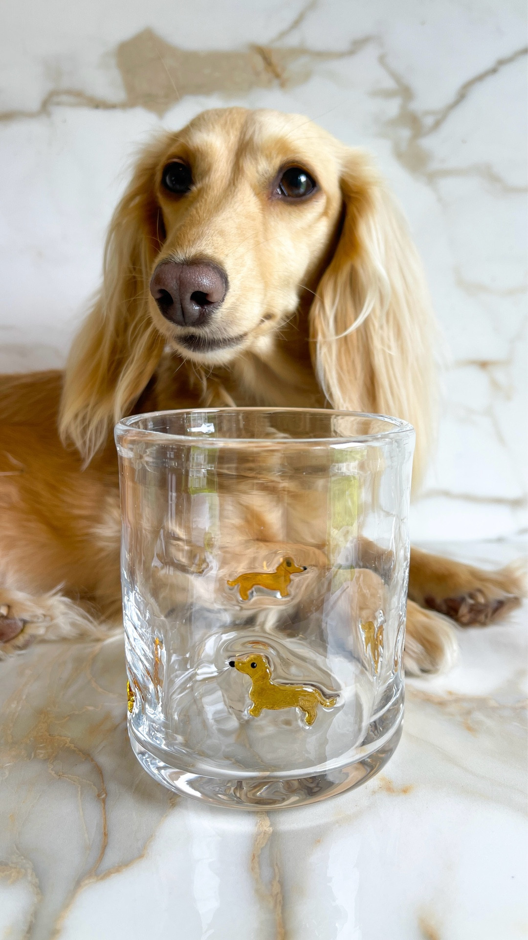 Anthro icon glass dupes for less than half the price! Obsessed with these dachshund  glasses, the quality is fantastic! 

Also available in several other styles and dogs too!

Sourced by @thedachshundedit 

.

.

.

.

( dachshund finds, wiener dog icon glass, dachshund mom, dachshund products, dachshund gifts, glass dachshund cup, doxie icon glass, sausage dog icon glass, wiener dog gifts, anthropologie icon juice glass dupe, dachshund glassware, dachshund decor, dachshund tumbler, target icon glass dachshunds, madison home icon glass dachshunds, target finds, target dachshund glass, target dachshund cups, target dachshund glasses, anthropologie dupe, anthropologie dachshund finds, gifts for dachshund lovers, #dachshund #iconglass #target #anthropologie #dachshundfinds #dachshundglass )

#LTKfoodie #LTKHome #LTKselfcare