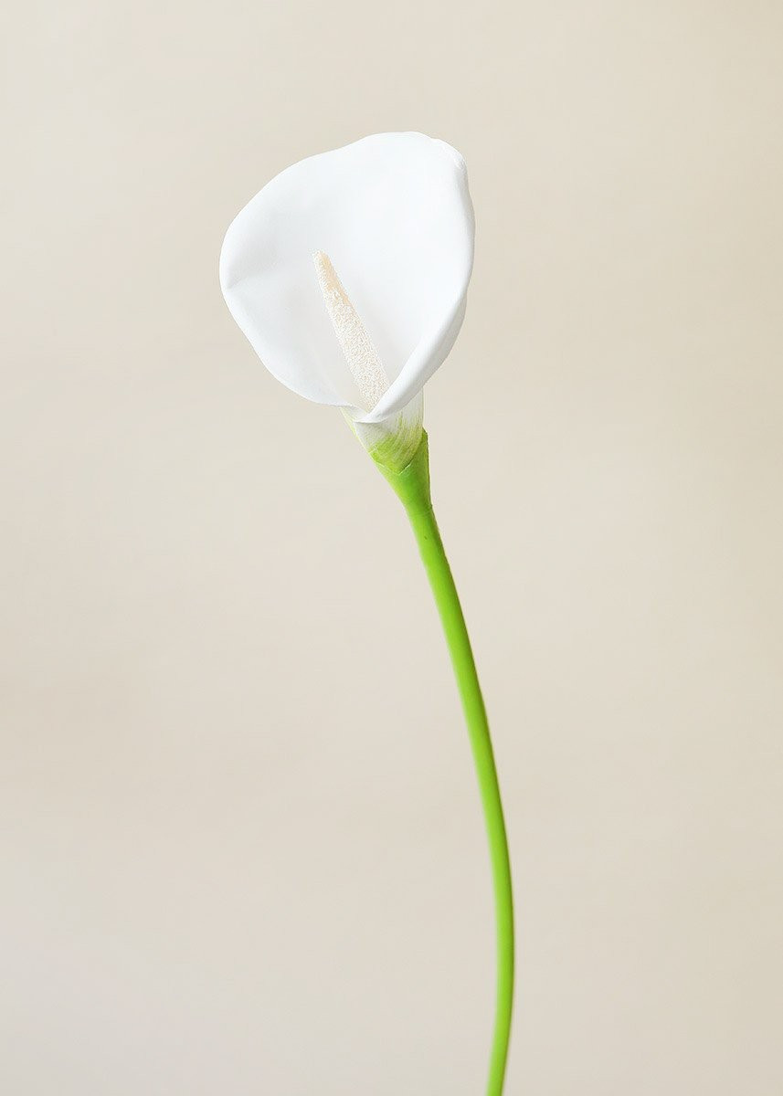 Large Foam Calla Lily in White - 30" Tall | Afloral (US)
