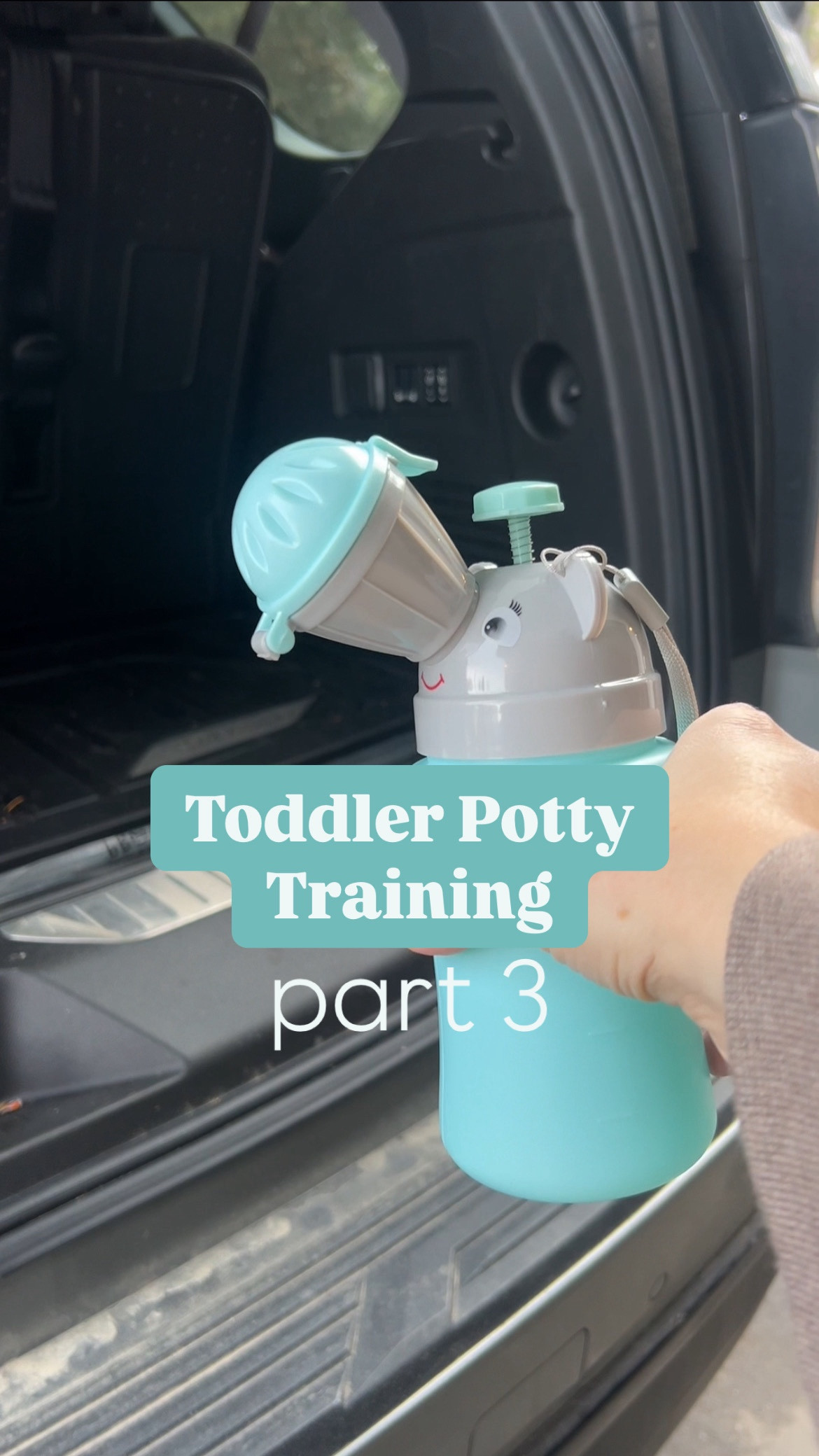 Must have for toddler potty training boys! 

#LTKKids #LTKBaby #LTKFamily