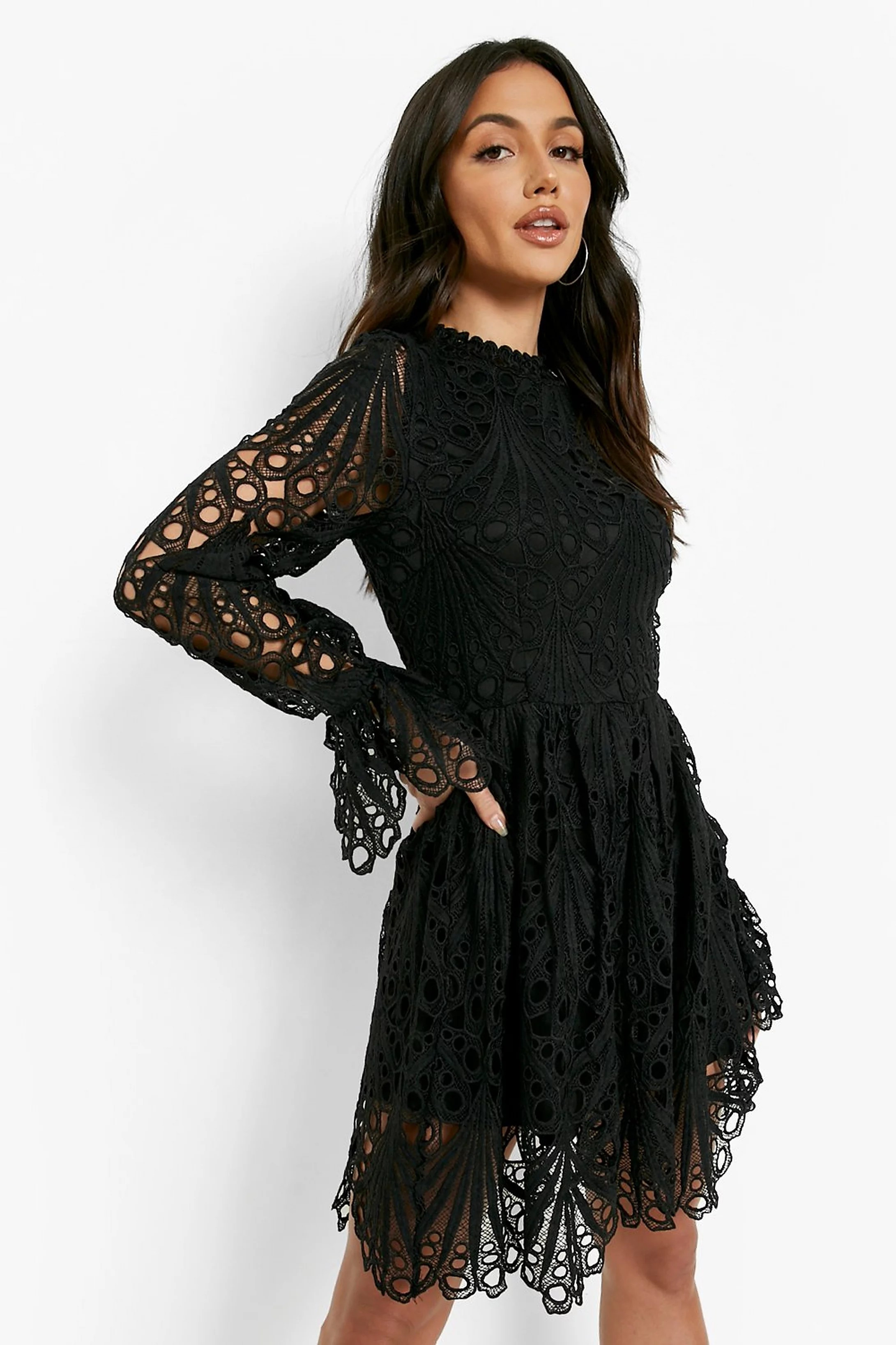 High Neck Flared Sleeve Lace Skater Dress | Boohoo.com (US & CA)