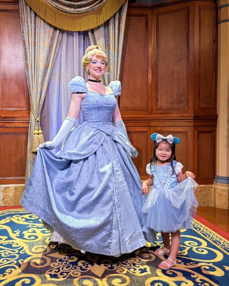 Little Adventures Cinderella Princess Party Dress, mouse ears, sandals 

#LTKkids #LTKstyletip #LTKfindsunder50