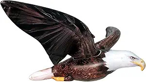 Jet Creations Giant Inflatable Blowup Animal Party Decoration: Realistic American Bald Eagle, Siz... | Amazon (US)
