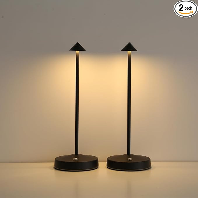 Rechargeable Cordless Table Lamp,3000mAh Battery Operated Table lamp,Portable LED Touch 2 Levels ... | Amazon (US)
