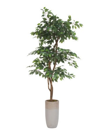 6ft 3 Tiered Ficus Tree With Real Bark Covered Trunk | Home Essentials | Marshalls | Marshalls
