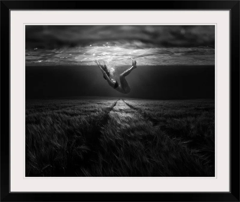 Straub Underwaterlandream by Peter Majkut - Photograph Print | Wayfair North America