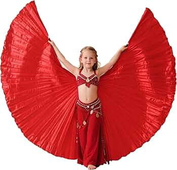 Women's Professional Belly Dance Wings with Sticks Halloween Carnival Performance Accessories | Amazon (US)