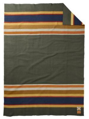 Pendleton Badlands National Park Blanket, Twin | Amazon (US)