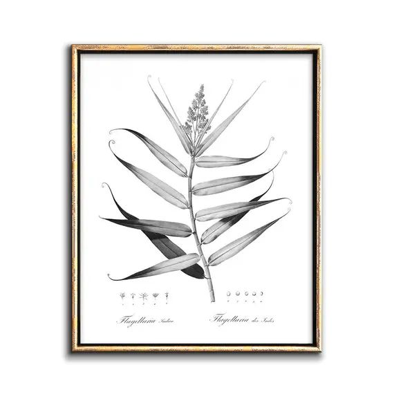 Black and White Botanical Prints Downloadable Art Modern | Etsy | Etsy (US)