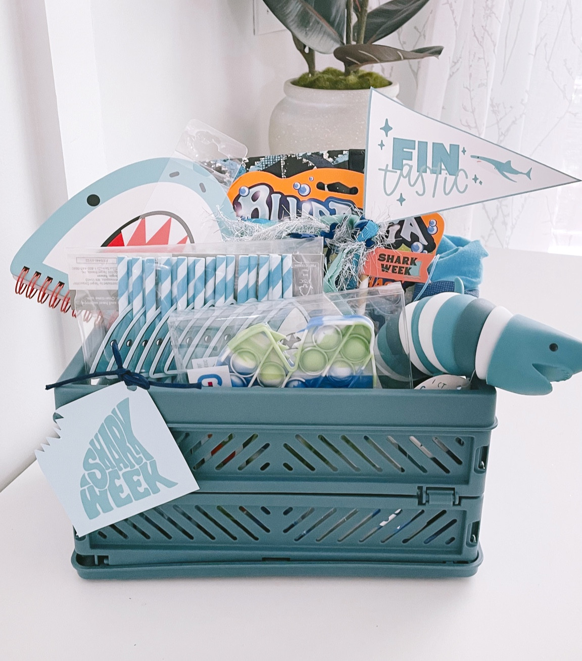Shark week basket of fun! 

#LTKSeasonal #LTKfamily #LTKkids