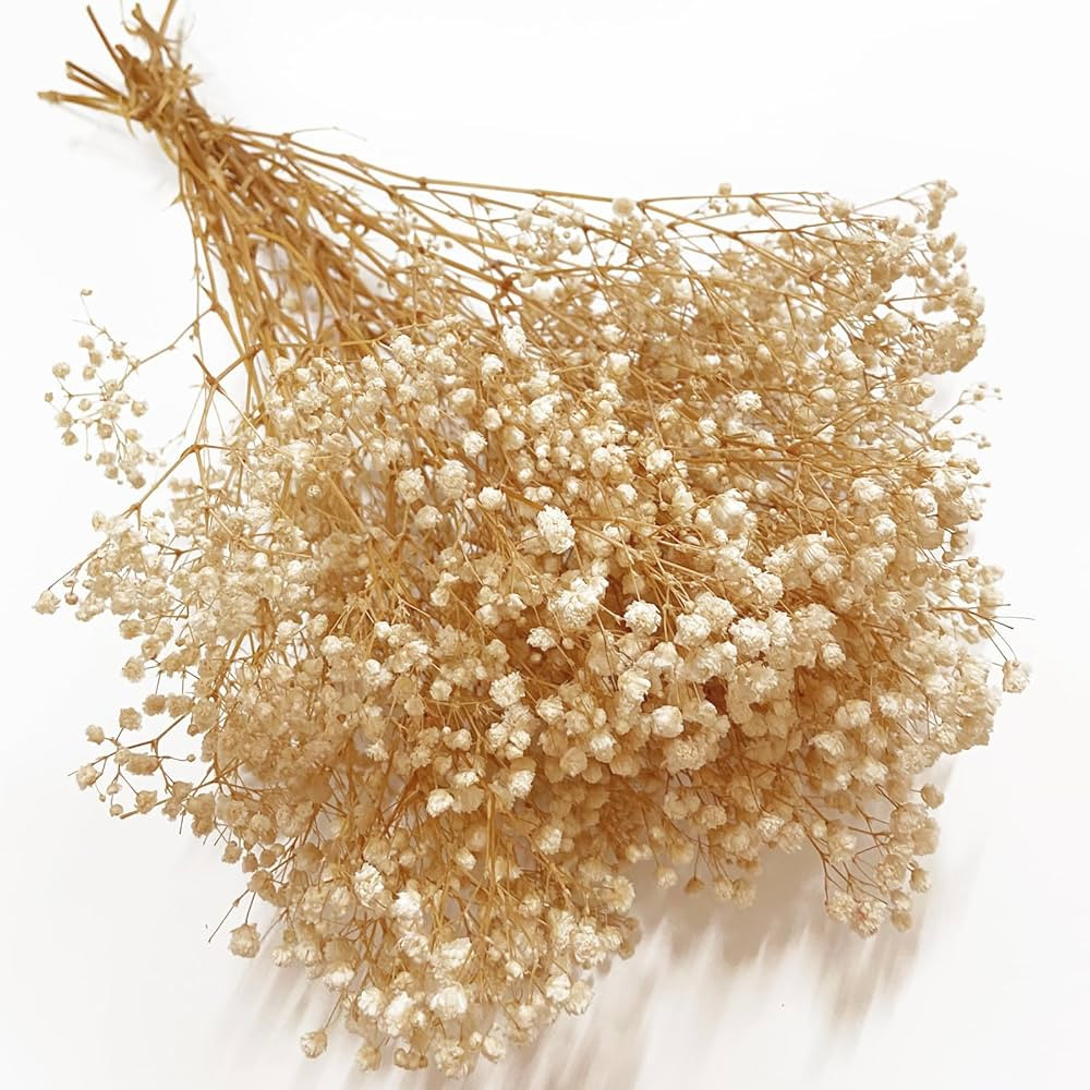 Preserved Baby's Breath, 100% Natrual Gypsophila Long Lasting Flowers for Vase Arrangements Home ... | Amazon (US)