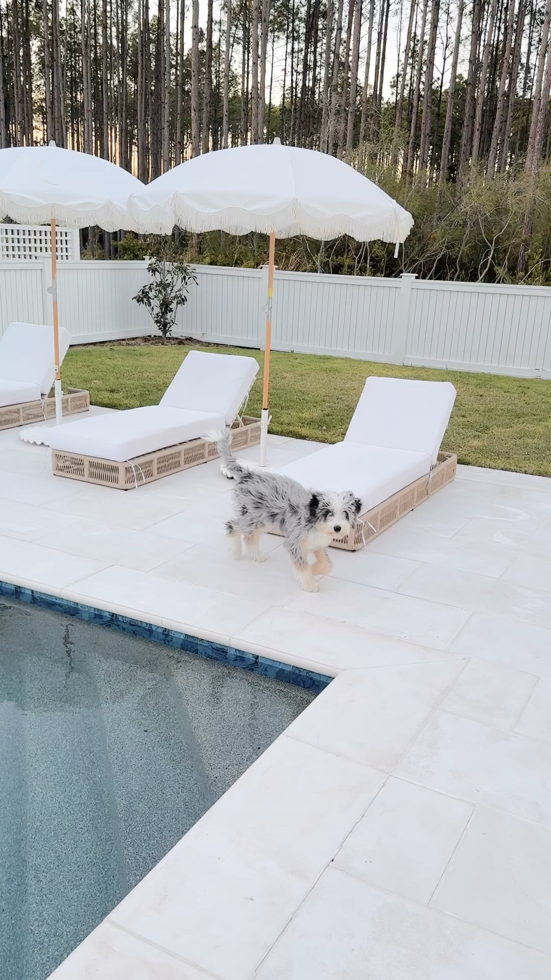 Patio furniture.  Outdoor umbrella.  Linking a similar option as well that is on sale.  

#LTKstyletip #LTKsalealert #LTKhome