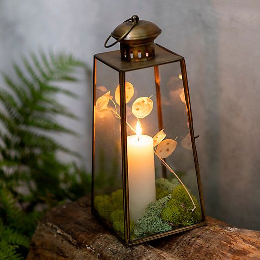Shop the Look: A Glowing Forest Floor-Inspired Lantern Look | Terrain