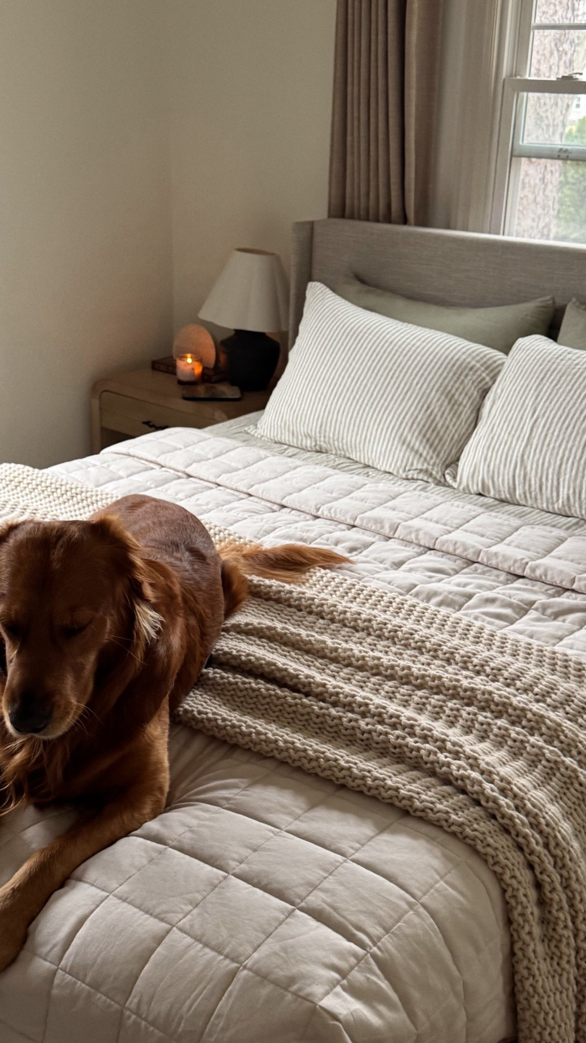 cozy spring bedding combo 🌧️✨🌷


Quince, quilt, spring bedding, linen, linen sheets, cozy bedding, quince bedding