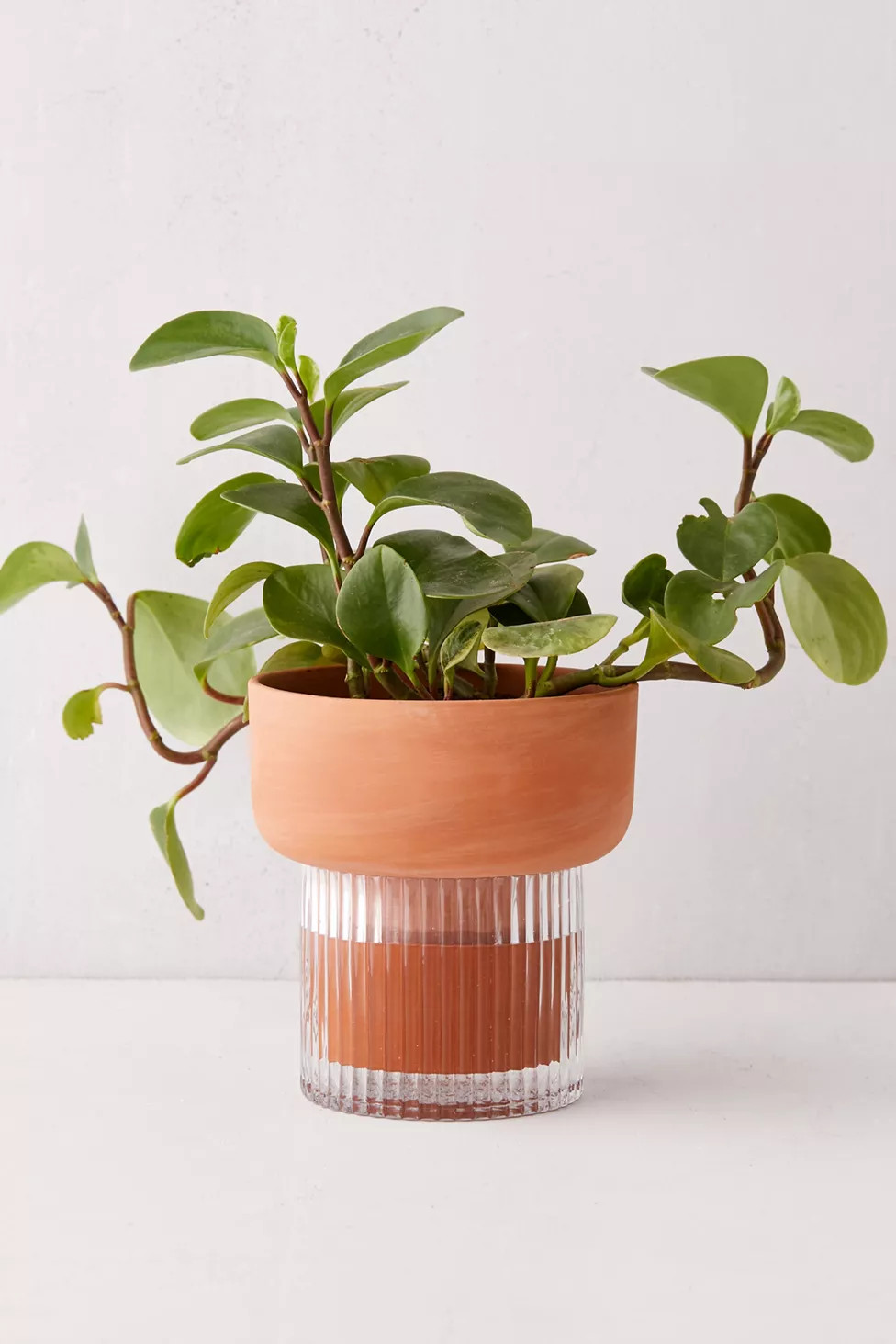 Izzie Self-Watering Planter | Urban Outfitters (US and RoW)