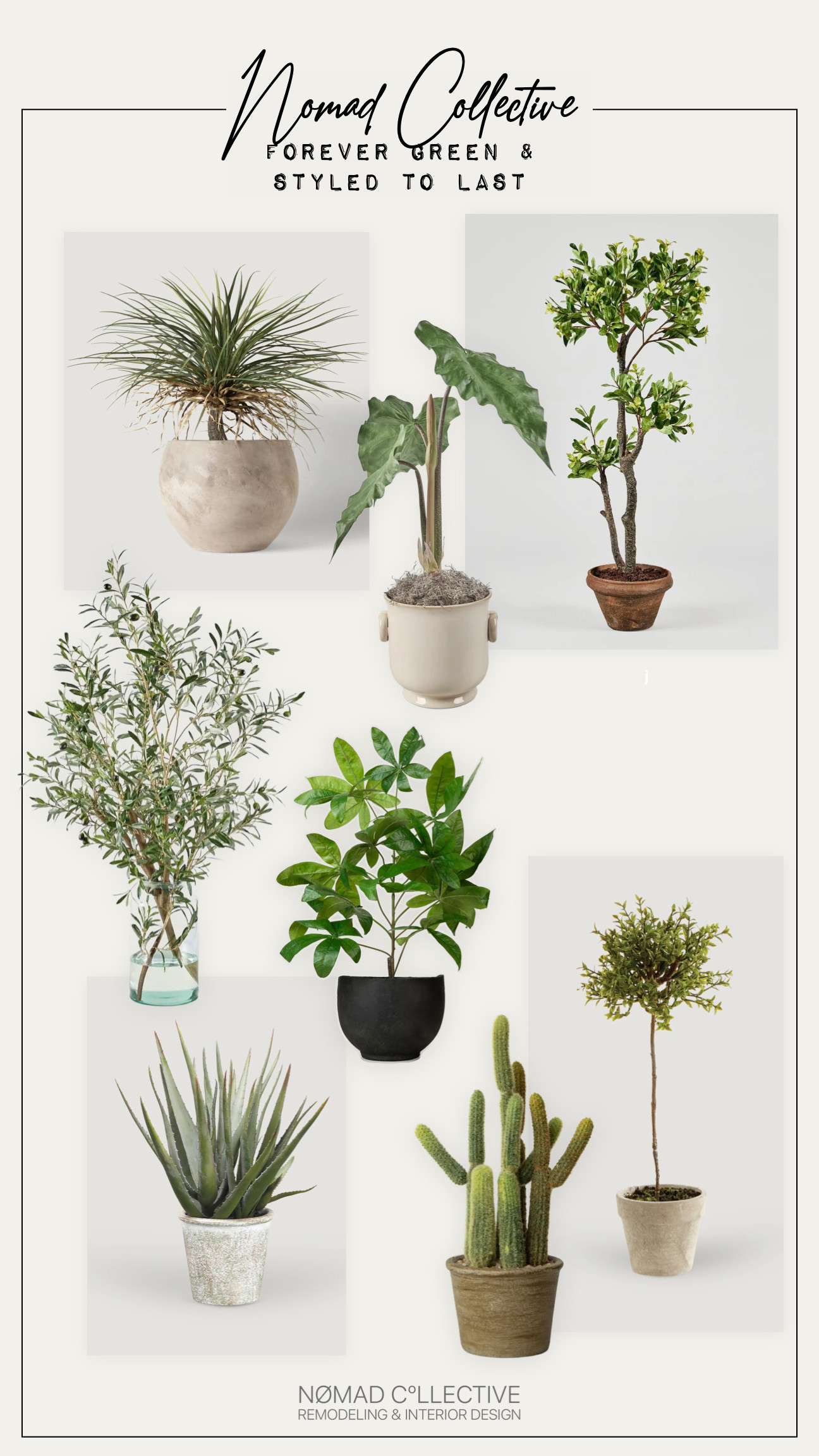 No watering, no wilting—just beautifully styled greenery. Crafted with Afloral’s signature attention to detail, each piece offers a natural look that lasts season after season. 

 #LTKSeasonal #LTKHome #LTKStyleTip