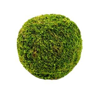 6'' Form Moss Ball by Ashland® | Michaels Stores