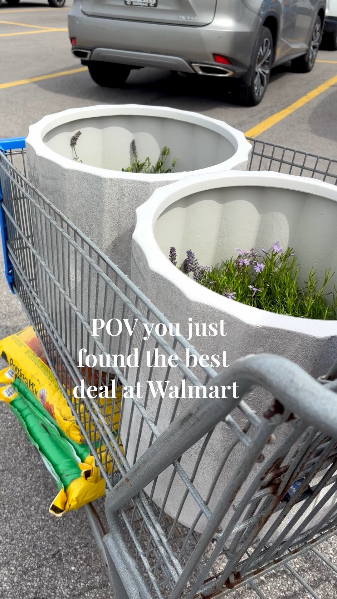 Walmart has the most gorgeous concrete planters right now and I paired them with lavender for the most elevated look. These are giving expensive outdoor vibes for a fraction of the price. Run don’t walk because these will sell out fast.

#WalmartFinds #AmandaAndCoDesign #OutdoorDecor

#LTKdayinmylife #LTKHome #LTKvlog