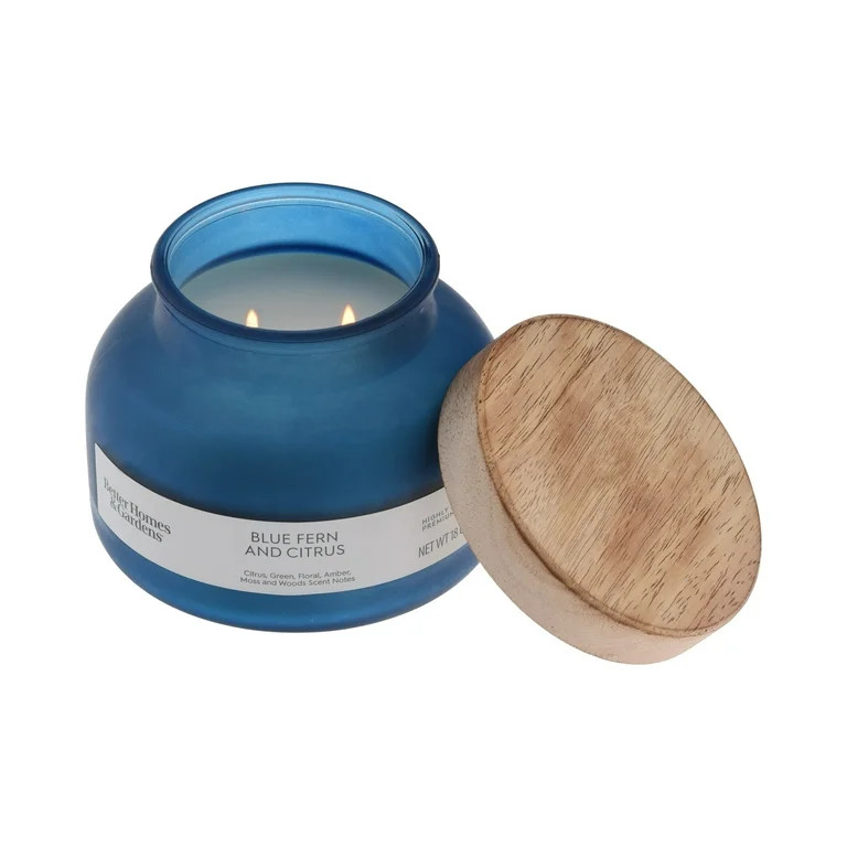 Better Homes & Gardens Blue Fern and Citrus Scented 2-Wick 18oz (510.3 g) Frosted Jar Candle - Wa... | Walmart (US)