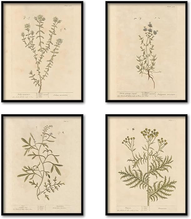 TFKFJLF Vintage Botanical Wall Art Poster Decor, Nature Floral Art Wall Decor, Wildflower Plant P... | Amazon (US)