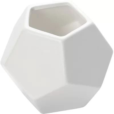 https://www.wayfair.com/DwellStudio-Faceted-White-Vase-DWL4772-DWL4772.html | Wayfair North America