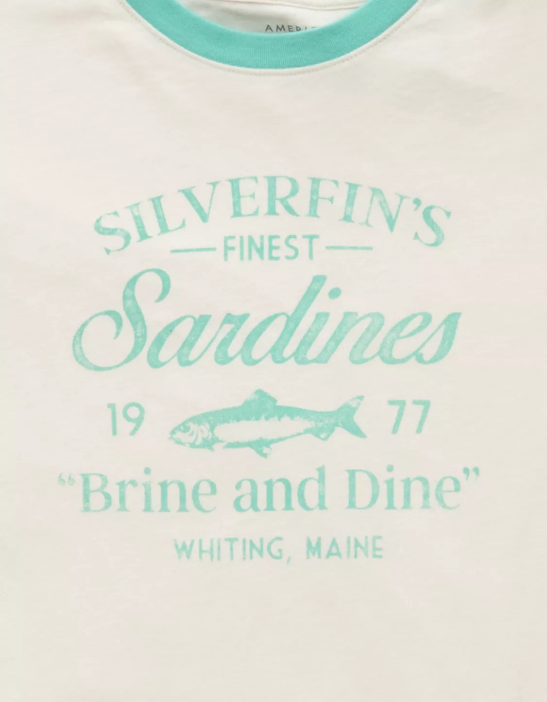 AE Everyday Graphic T-Shirt | American Eagle Outfitters (US & CA)