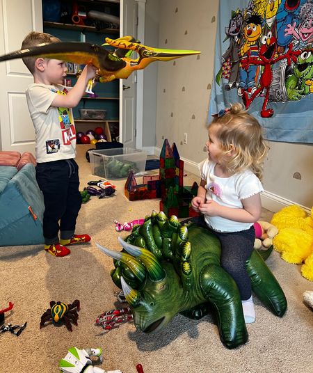 These inflatable dinosaurs are such a hit and so fun for kids! We keep them in a bin in the closet and blow them up about once a month. Super fun and great gift idea for any dinosaur loving kid! 

#LTKfamily #LTKkids #LTKFind