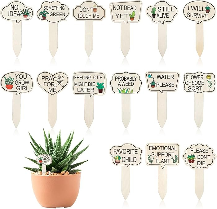 15pcs Funny Plant Stakes Garden Plants Markers Wooden Plants Labels Tab Funny Signs with Stake fo... | Amazon (US)