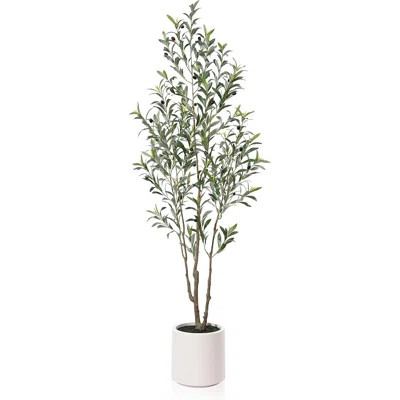 Artificial Olive Trees, 6 Ft Tall Fake Olive Trees For Indoor, Faux Olive Silk Tree, Large Olive Plants With White Planter For Home Decor And Housewar | Wayfair North America
