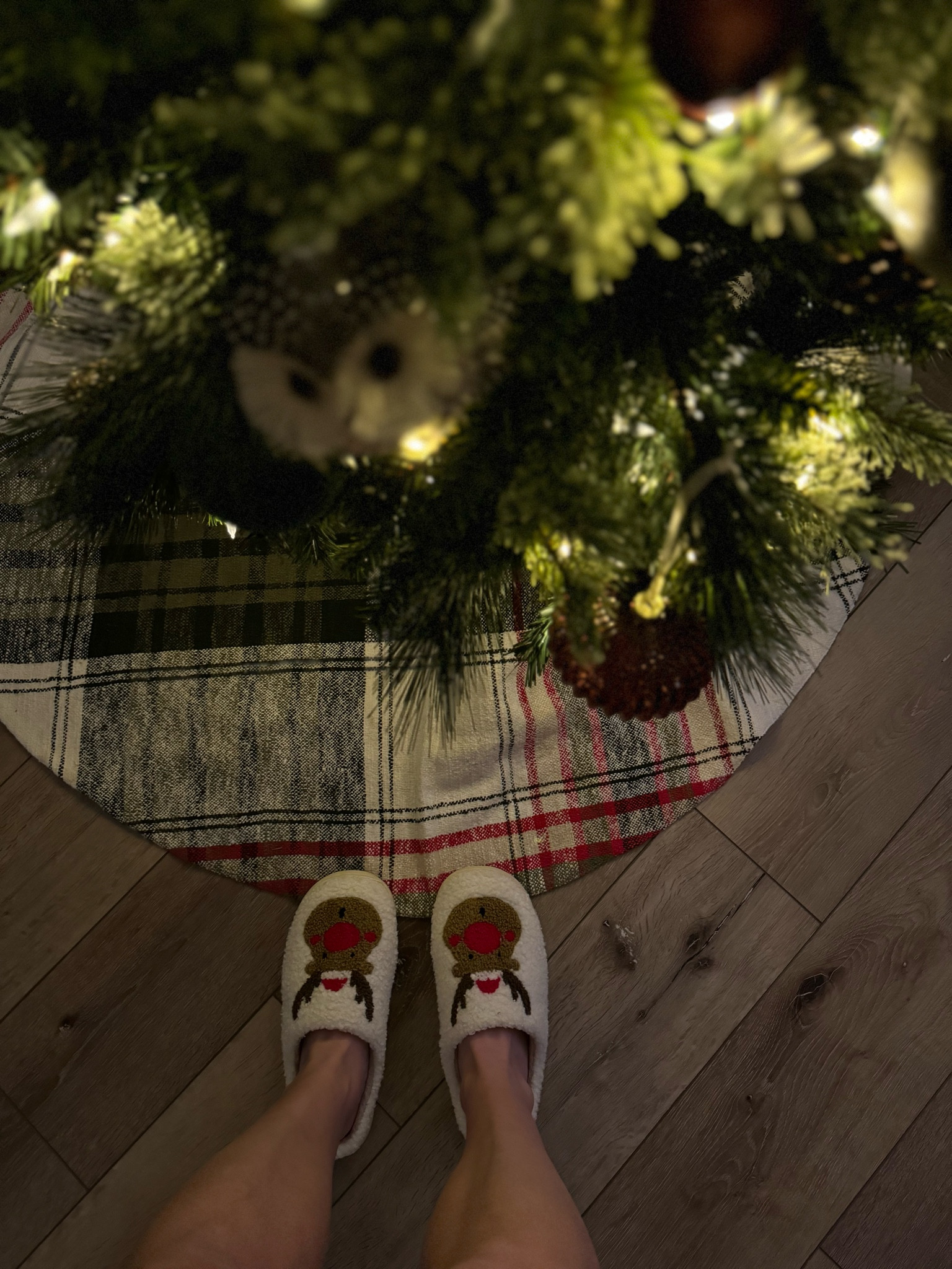 It’s timeeeeeeee!!! 

#LTKHoliday #LTKSeasonal #LTKSaleAlert