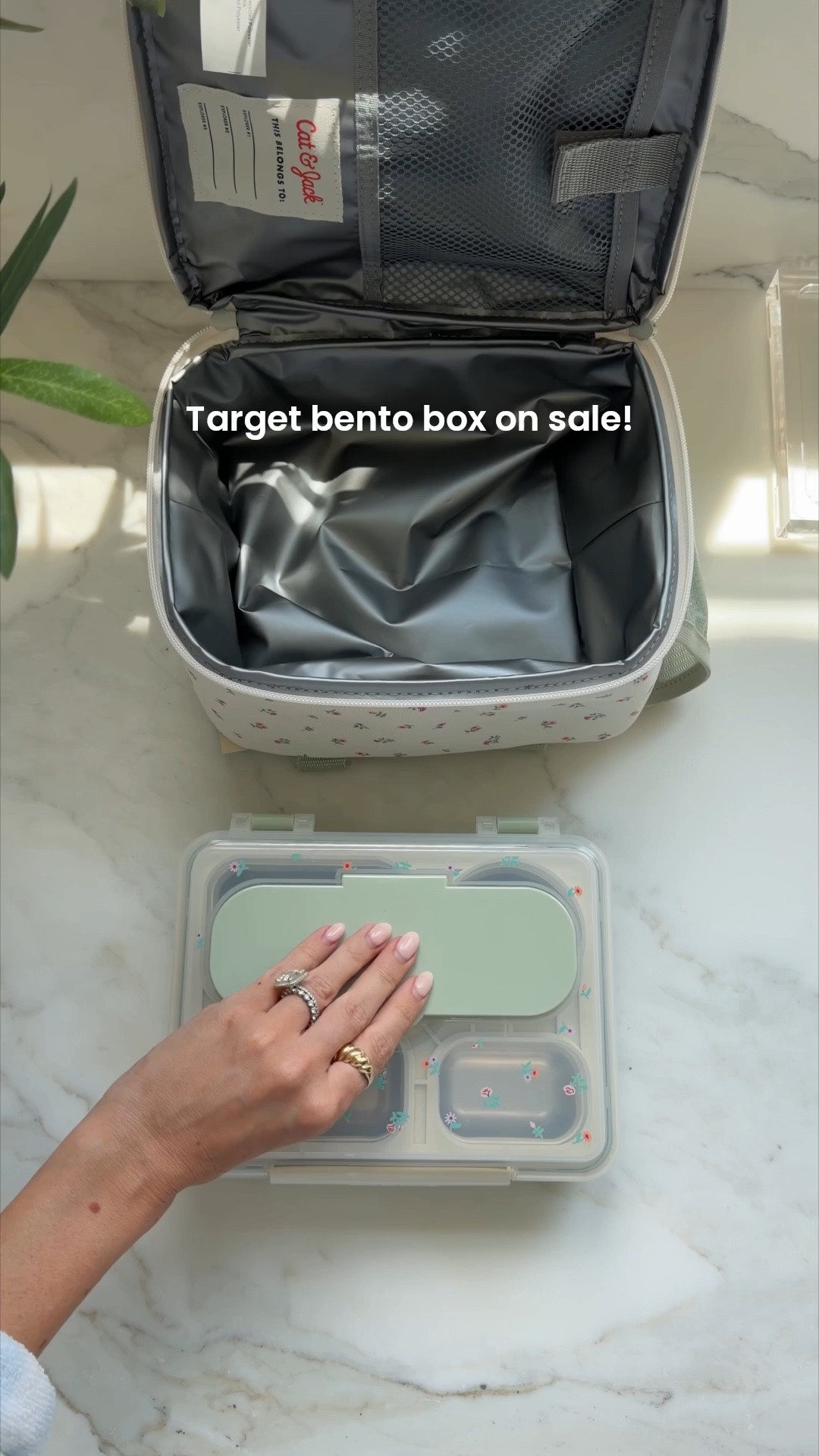 Stainless steel bento box on sale!

#LTKSaleAlert #LTKKids