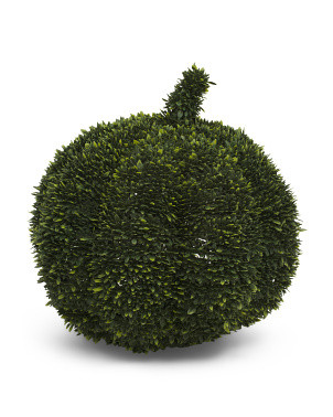18in Boxwood Middle Pumpkin | Plants & Planters | Marshalls | Marshalls