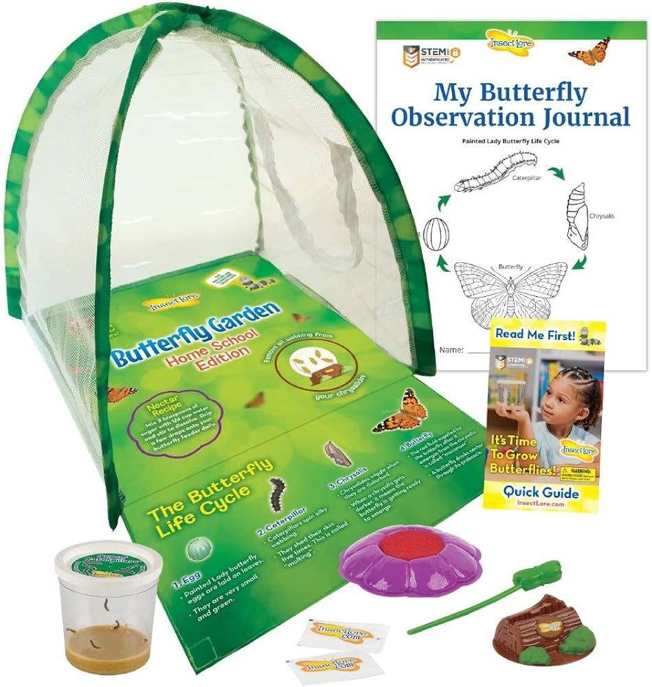 Insect Lore - Butterfly Growing Kit - Clear Front Facing Viewing Panel - Live Cup of Caterpillars... | Amazon (US)