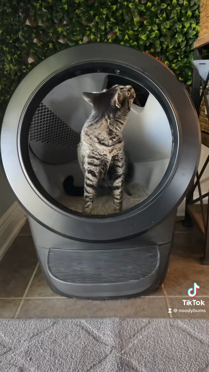 Litter Robot 4 (Paid)

#LTKFind #LTKfamily #LTKhome