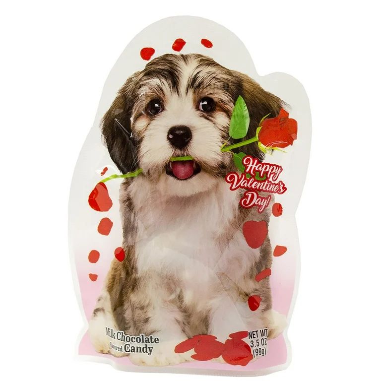 RM Palmer Party Pals Milk Chocolate Valentine's Candy, 3.5 oz | Walmart (US)