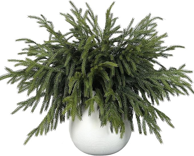 32 Pcs Real Touch Norfolk Pine Branch -18" Artificial Christmas Green Plants Branches Faux Greene... | Amazon (US)