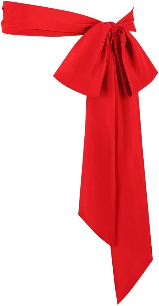 Women's Long Chiffon Sash Waist Belt For Bridal Wedding Bridesmaid Prom Formal Special Occasion D... | Amazon (US)
